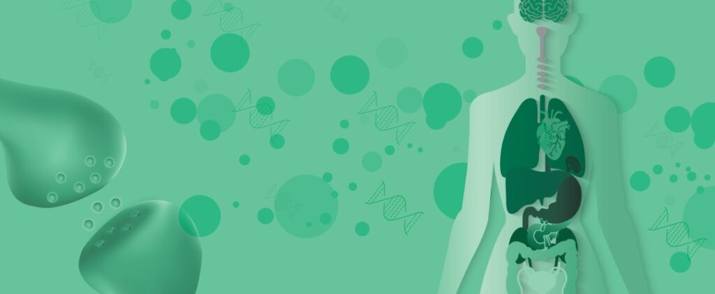 endocannabinoids