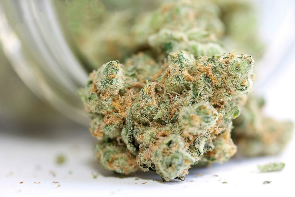 Flor de cannabis seca