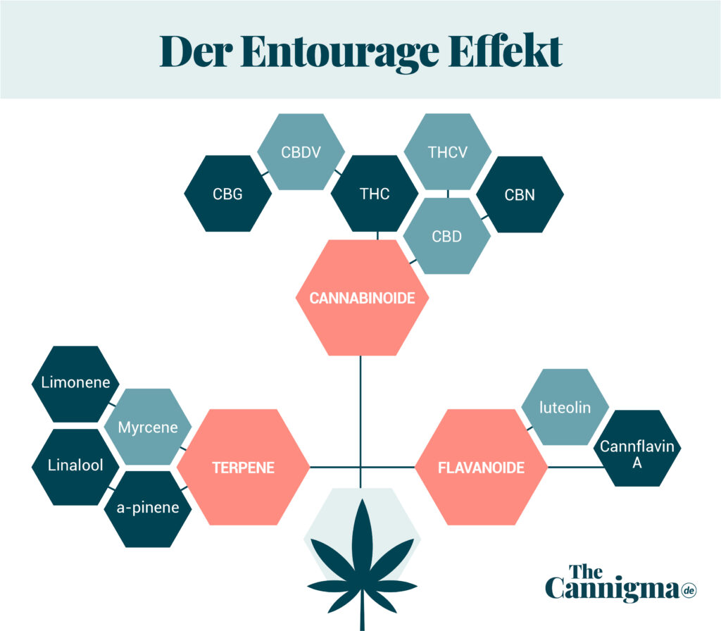 Entourage-Effekt