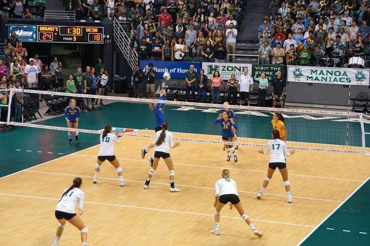 cannabis in college sports