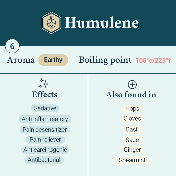 Humulene terpene card