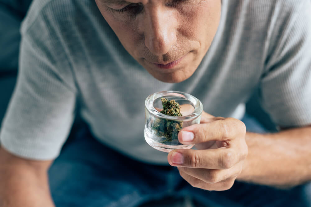 smelling cannabis jar