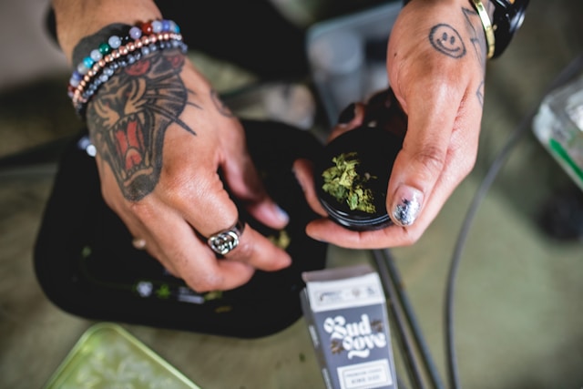 best-cannabis-strains-of-2026-a-data-backed-guide-by-chemotype-and
