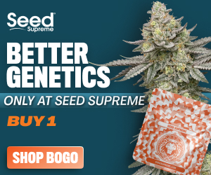 Buy Now