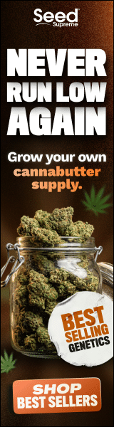 Seed Supreme - Never run low again, grow your own cannabutter supply