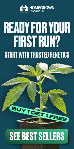 Homegrown Cannabis Co — Ready for your first run? Buy One Get One Free