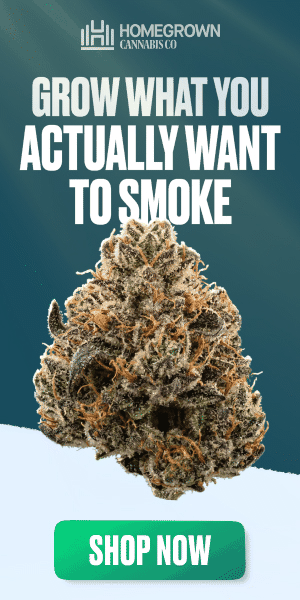Homegrown Cannabis Co — Grow what you actually want to smoke