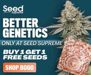 Seed Supreme — Better genetics, Buy One Get One Free seeds