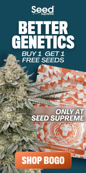 Seed Supreme — Better genetics, Buy One Get One Free seeds